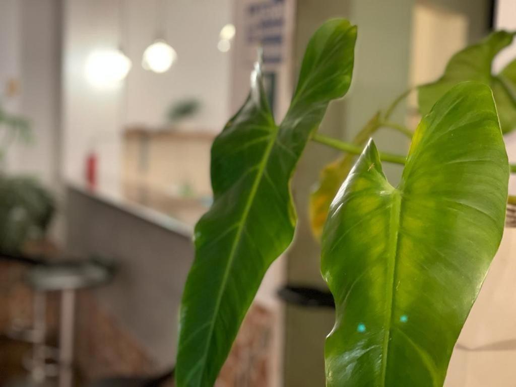 Casahotel Jockey Plaza Mall Lima Eksteriør bilde
